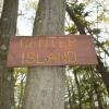 A brown sign nailed to a tree that says "Center Island."