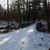 A path in the woods in winter leading to a small wooden bridge.
