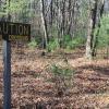 A sign next to a trail that says "Caution: Trail Crossing."