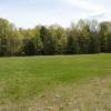 View 1 of a large, grassy field surrounded by trees on a sunny day.
