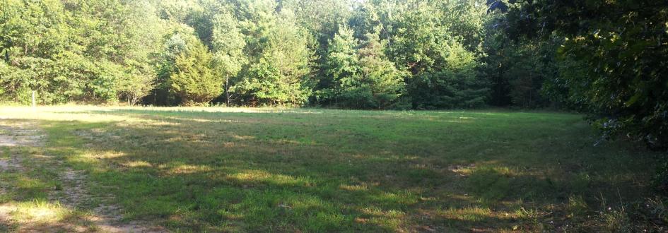 An open, grassy field surrounded by trees.