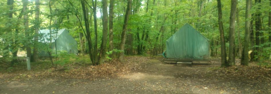 Two large green tents on platforms at the White Pine tent site surrounded by trees.